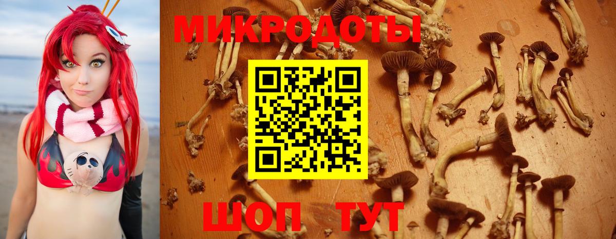 Москва  цены   Вход с VPN  Псилоцибиновые грибы прущие грибы  Псилоцибиновые грибы ЛСД 